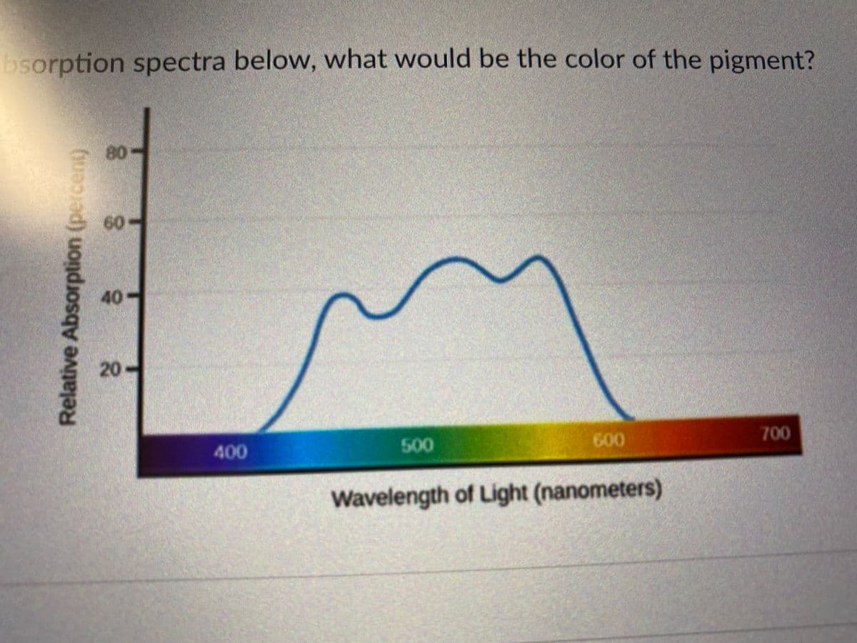 bsorption spectra below, what would be the color of the pigment?
80-
60
40-
700
500
600
400
Wavelength of Light (nanometers)
Relative Absorption (percent)
20.
