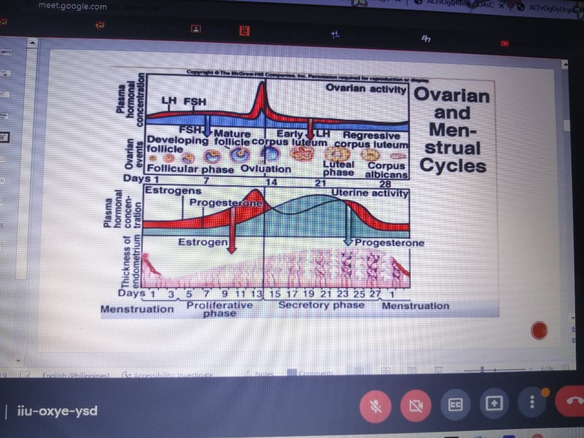 ACFrOgDRong0 04sQ X
O ACFrOgDyUcya
meet.google.com
CepyrightThe
odurtion
Ovarian activity Ovarian
LH FSH
and
Men-
strual
Corpus Cycles
FSH Mature
Early LH Regressive
Developing follicle corpus lúteum corpus luteum
follicle
Follicular phase Ovluation
Days 1
Estrogens
Luteal
phase albicans
21
Uterine activity
14
28
Progesterone
Estrogen
VProgesterone
Ďays 1 3. 57 9 11 13 15 17 19 21 23 25 27 1
Secretory phase
Menstruation
Proliferative
phase
Menstruation
Netes
mlish (Philinnines
Kenressibilitinvasticata
CC
| iiu-oxye-ysd
Plasma
hormonal
Thickness of concen-
endometrium tration
O Ovarian
events
Plasma
hormonal
concentration
