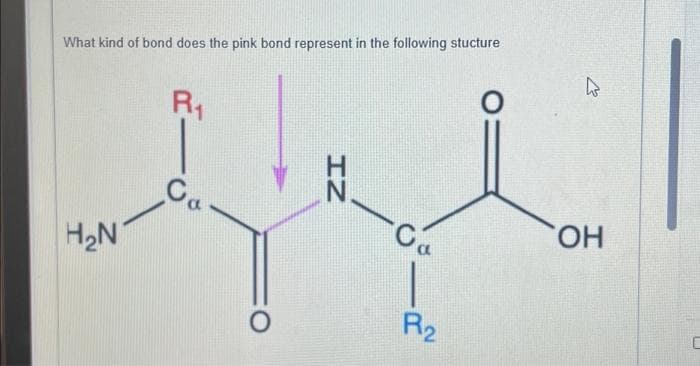 What kind of bond does the pink bond represent in the following stucture
H₂N
R₁
Co
O
IZ
·Co
R₂
घ
OH
C