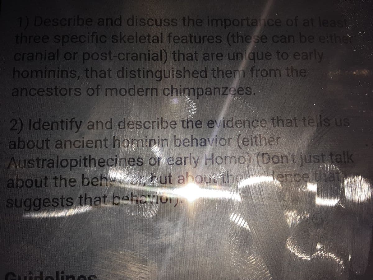 1) Describe and discuss the importance of at least
three specific skeletal features (the se can be either
cranial or post-cranial) that are unique to early
hominins, that distinguished them from the
ancestors of modern chimpanzees.
2) Identify and describe the evidence that tells us
about ancient hominin behavior (either
Australopithecines or early Homo) (Dont just talk
tut ahoreihe
avior.
about the beh rut ahourthe
ence.that
suggests that heht
Cuidelines
