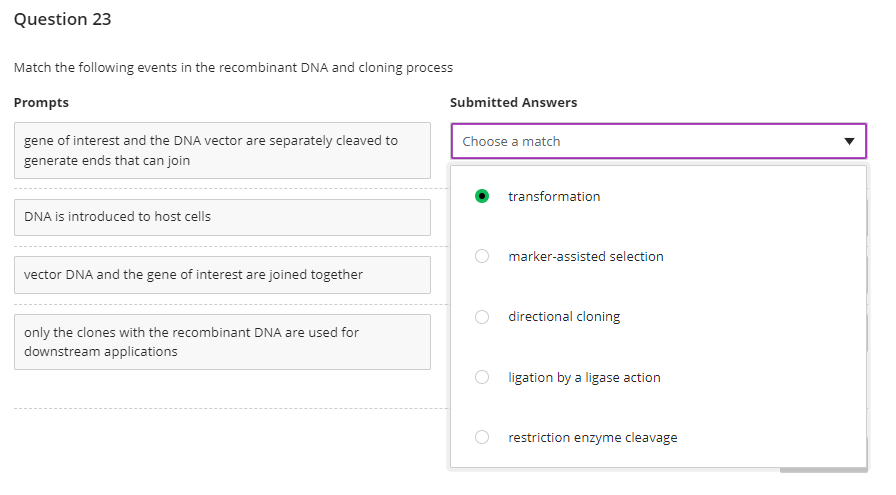 Question 23
Match the following events in the recombinant DNA and cloning process
Prompts
gene of interest and the DNA vector are separately cleaved to
generate ends that can join
DNA is introduced to host cells
vector DNA and the gene of interest are joined together
only the clones with the recombinant DNA are used for
downstream applications
Submitted Answers
Choose a match
transformation
marker-assisted selection
directional cloning
ligation by a ligase action
restriction enzyme cleavage