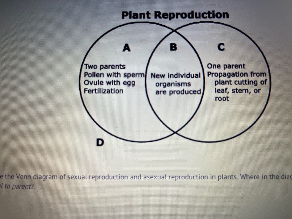 Plant Reproduction
D
A
Two parents
Pollen with sperm
Ovule with egg
Fertilization
B
New individual
organisms
are produced
C
One parent
Propagation from
plant cutting of
leaf, stem, or
root
e the Venn diagram of sexual reproduction and asexual reproduction in plants. Where in the diag
al to parent?