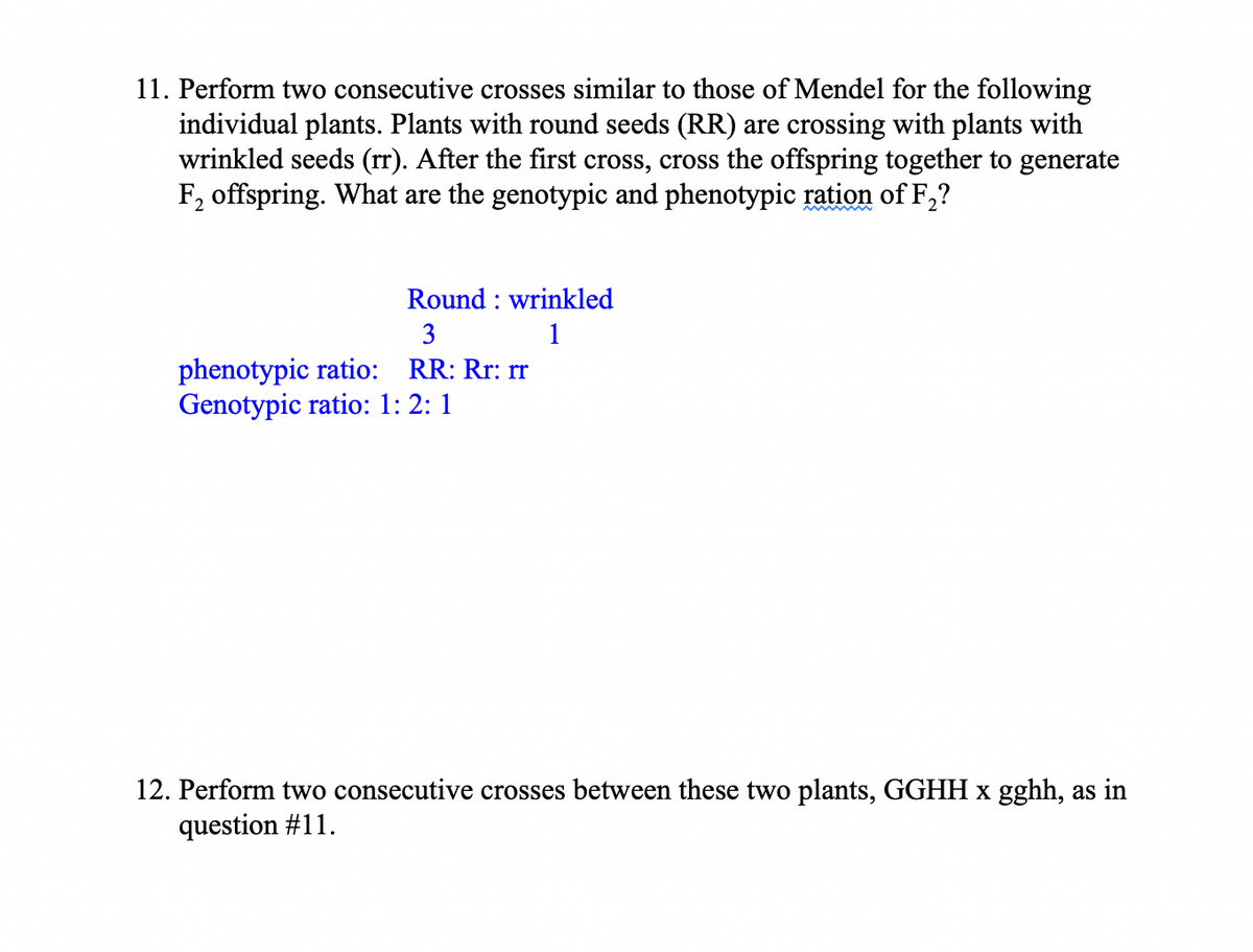 11. Perform two consecutive crosses similar to those of Mendel for the following
individual plants. Plants with round seeds (RR) are crossing with plants with
wrinkled seeds (rr). After the first cross, cross the offspring together to generate
F, offspring. What are the genotypic and phenotypic ration of F,?
Round : wrinkled
3
1
phenotypic ratio: RR: Rr: rr
Genotypic ratio: 1: 2: 1
12. Perform two consecutive crosses between these two plants, GGHH x gghh, as in
question #11.
