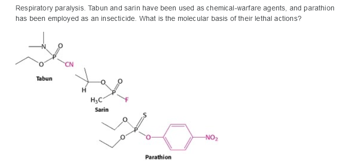 Respiratory paralysis. Tabun and sarin have been used as chemical-warfare agents, and parathion
has been employed as an insecticide. What is the molec ular basis of their lethal actions?
Tabun
H3C
Sarin
-NO2
Parathion
