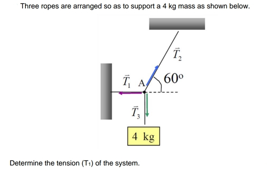 Three ropes are arranged so as to support a 4 kg mass as shown below.
T,
T, A60°
T3
4 kg
Determine the tension (T1) of the system.

