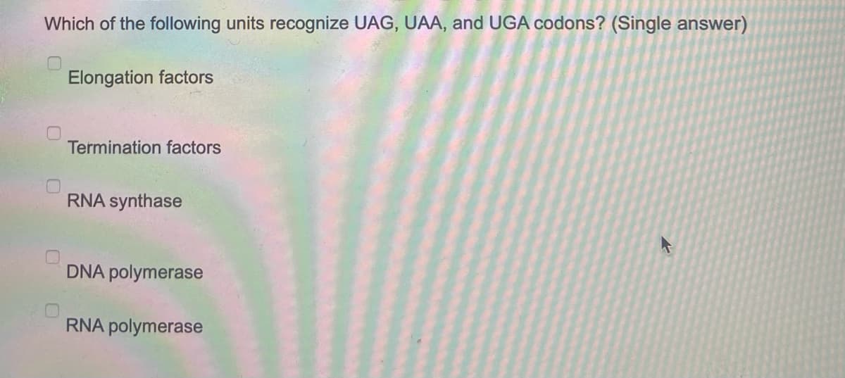 Which of the following units recognize UAG, UAA, and UGA codons? (Single answer)
Elongation factors
U
Termination factors
RNA synthase
DNA polymerase
RNA polymerase
