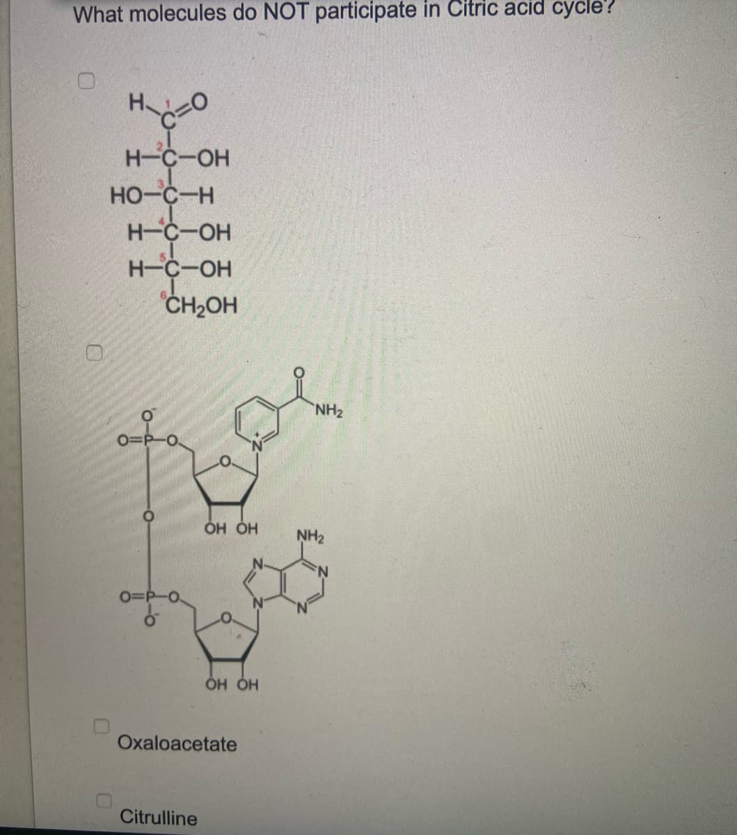 What molecules do NOT participate in Citric acid cycle?
на сто
HO
H-C-OH
HO-C-H
H-C-OH
H-C-OH
CH₂OH
0=P-0.
0=P-0.
ОН ОН
Citrulline
OH OH
Oxaloacetate
NH₂
NH₂