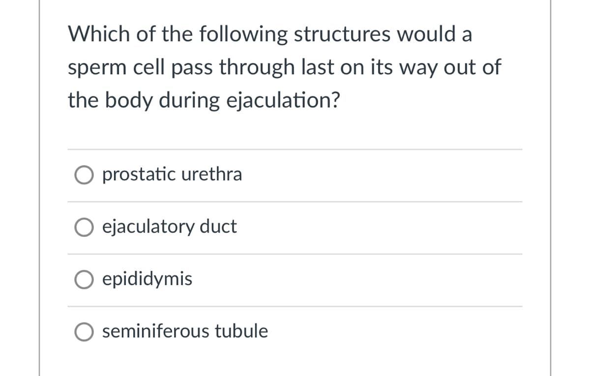 Which of the following structures would a
sperm cell pass through last on its way out of
the body during ejaculation?
O prostatic urethra
ejaculatory duct
O epididymis
seminiferous tubule
