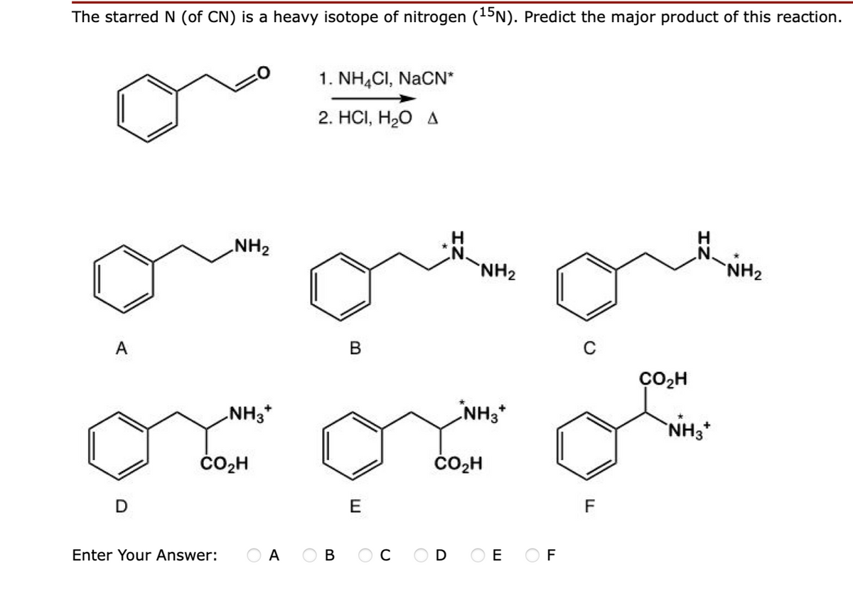 The starred N (of CN) is a heavy isotope of nitrogen (15N). Predict the major product of this reaction.
1. NH,CI, NaCN*
2. HС, Н.О д
NH2
NH2
NH2
A
B
ÇO,H
NH3*
NH3*
+
NH3*
ČO,H
čO,H
D
E
F
Enter Your Answer:
O A
В
OC OD O E
O F
