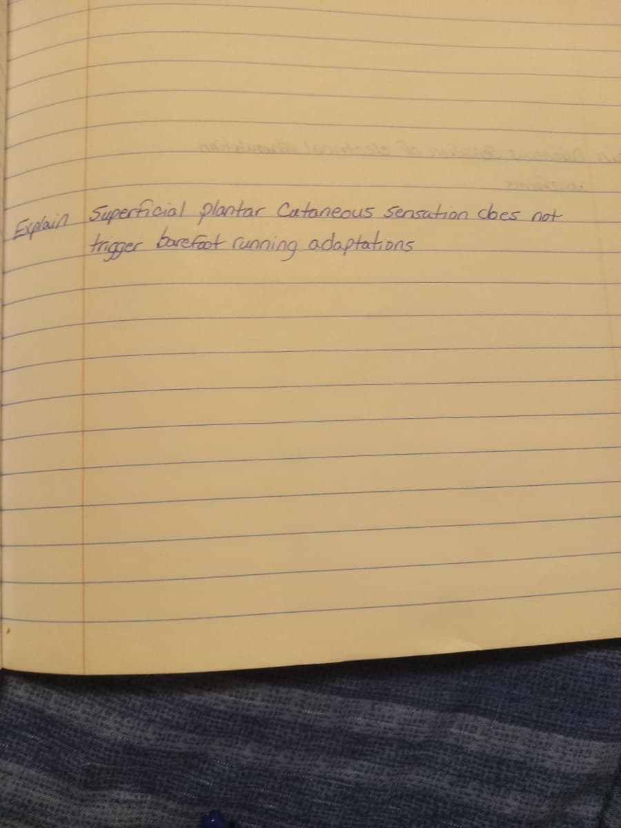 Explain Superficial plantar Cataneous sensation does not
trigger barefoot running adaptations.