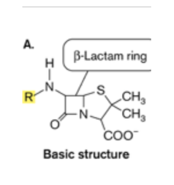 A.
B-Lactam ring
CH3
CH3
Basic structure
I-Z
