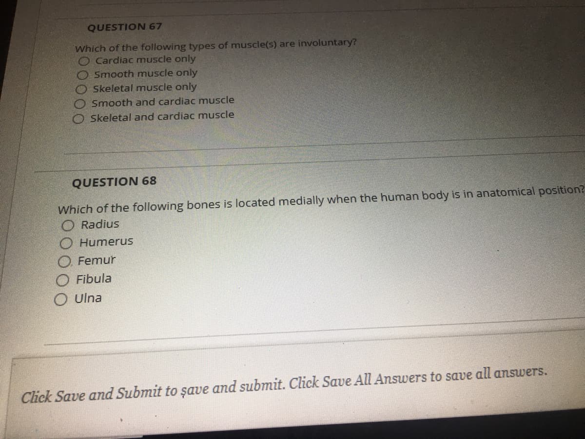 QUESTION 67
Which of the following types of muscle(s) are involuntary?
Cardiac muscle only
Smooth muscle only
Skeletal muscle only
Smooth and cardiac muscle
Skeletal and cardiac muscle
QUESTION 68
Which of the following bones is located medially when the human body is in anatomical position?
Radius
Humerus
Femur
O Fibula
O Ulna
Click Save and Submit to şave and submit. Click Save All Answers to save all answers.
0000
