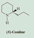 H.
'N'
H
(S)-Coniine
