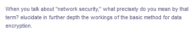 When you talk about "network security," what precisely do you mean by that
term? elucidate in further depth the workings of the basic method for data
encryption.