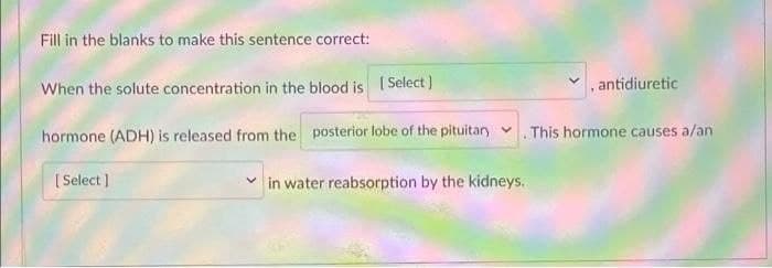 Fill in the blanks to make this sentence correct:
When the solute concentration in the blood is Select)
, antidiuretic
This hormone causes a/an
hormone (ADH) is released from the posterior lobe of the pituitary v
( Select ]
in water reabsorption by the kidneys.

