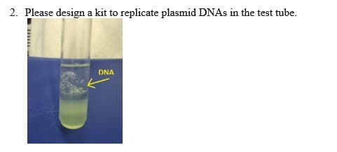 2. Please design a kit to replicate plasmid DNAS in the test tube.
DNA
