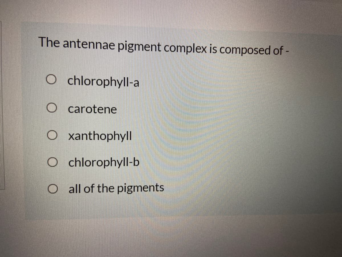 The antennae pigment complex is composed of -
chlorophyll-a
O carotene
O xanthophyll
O chlorophyll-b
O all of the pigments
