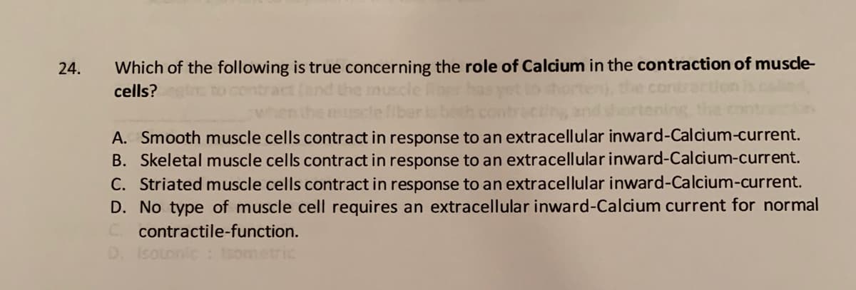 24.
Which of the following is true concerning the role of Calcium in the contraction of muscle-
cells?
A. Smooth muscle cells contract in response to an extracellular inward-Calcium-current.
B. Skeletal muscle cells contract in response to an extracellular inward-Calcium-current.
C. Striated muscle cells contract in response to an extracellular inward-Calcium-current.
D. No type of muscle cell requires an extracellular inward-Calcium current for normal
C. contractile-function.
D. Isotonic : Isometric
