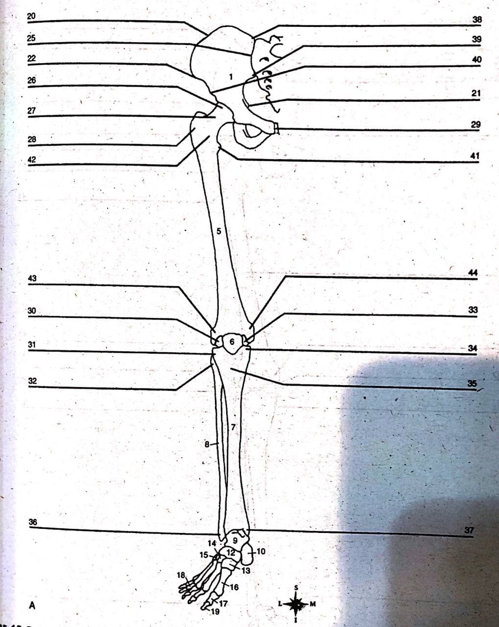 6
30
8
G
28
27
צן
או 8
18 18 18