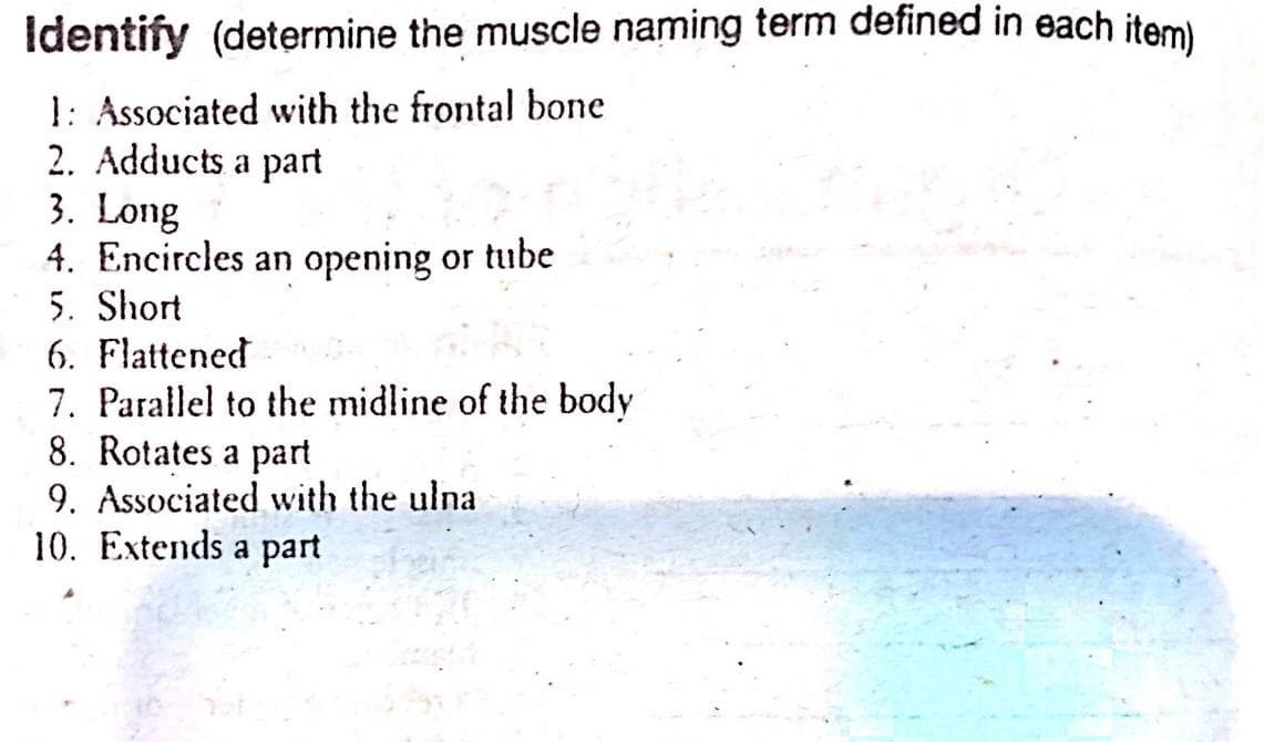 Identify (determine the muscle naming term defined in each item)
1: Associated with the frontal bone
2. Adducts a part
3. Long
4. Encircles an opening or tube
5. Short
6. Flattened
7. Parallel to the midline of the body
8. Rotates a part
9. Associated with the ulna
10. Extends a part