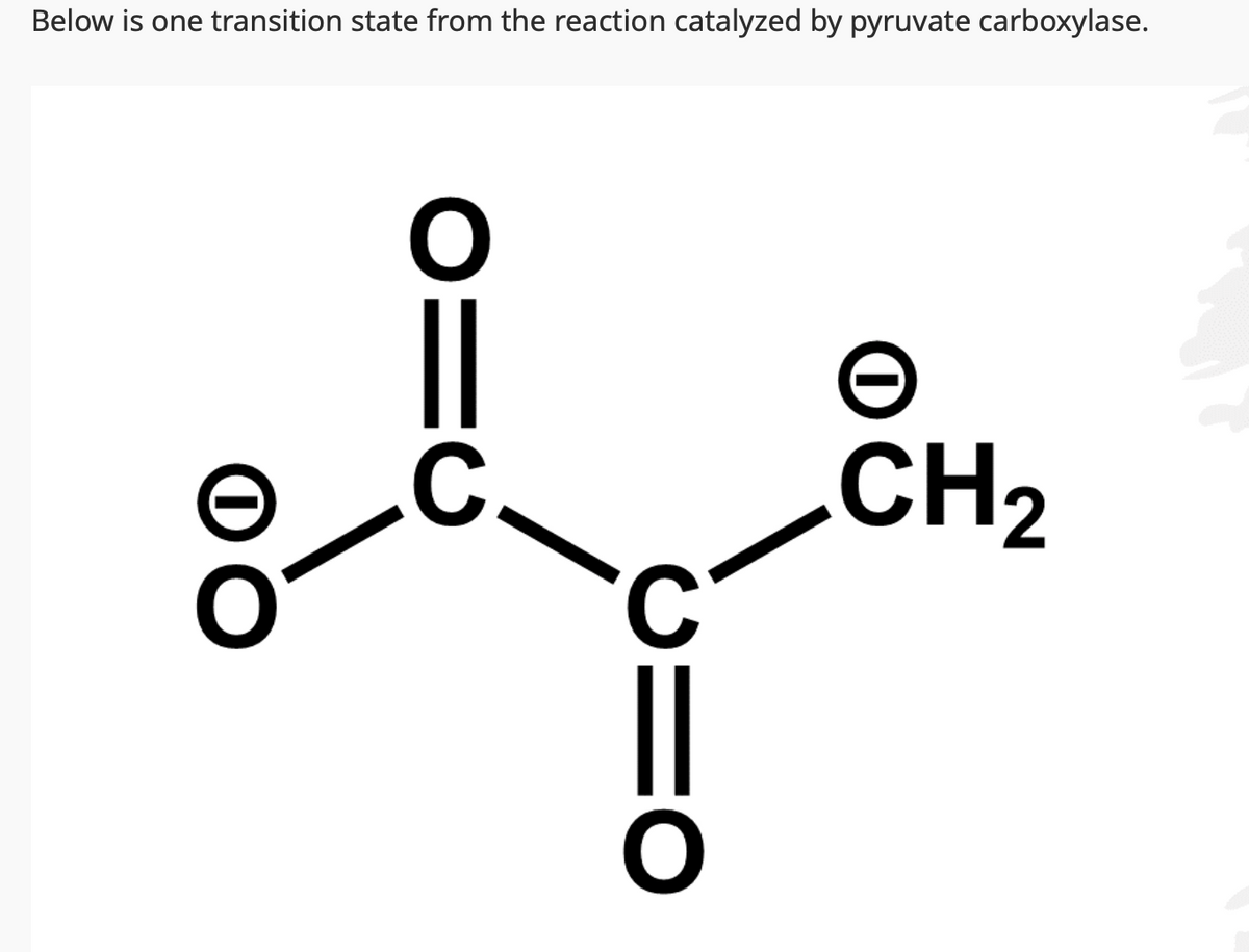 Below is one transition state from the reaction catalyzed by pyruvate carboxylase.
O:
C
C
OI
O
CH₂