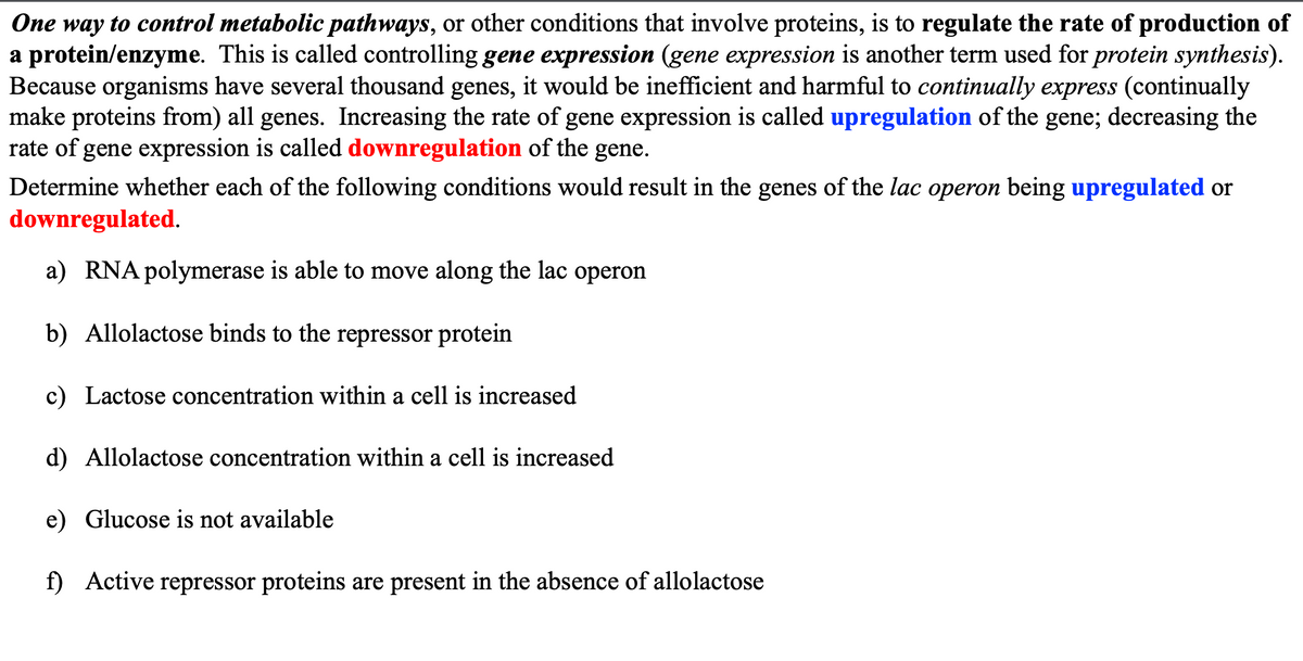 One way to control metabolic pathways, or other conditions that involve proteins, is to regulate the rate of production of
a protein/enzyme. This is called controlling gene expression (gene expression is another term used for protein synthesis).
Because organisms have several thousand genes, it would be inefficient and harmful to continually express (continually
make proteins from) all genes. Increasing the rate of gene expression is called upregulation of the gene; decreasing the
rate of gene expression is called downregulation of the gene.
Determine whether each of the following conditions would result in the genes of the lac operon being upregulated or
downregulated.
a) RNA polymerase is able to move along the lac operon
b) Allolactose binds to the repressor protein
c) Lactose concentration within a cell is increased
d) Allolactose concentration within a cell is increased
e) Glucose is not available
f) Active repressor proteins are present in the absence of allolactose
