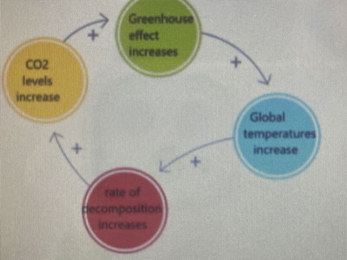 Greenhouse
effect
increases
CO2
levels
increase
Global
temperatures
rate of
decomposition
increases
