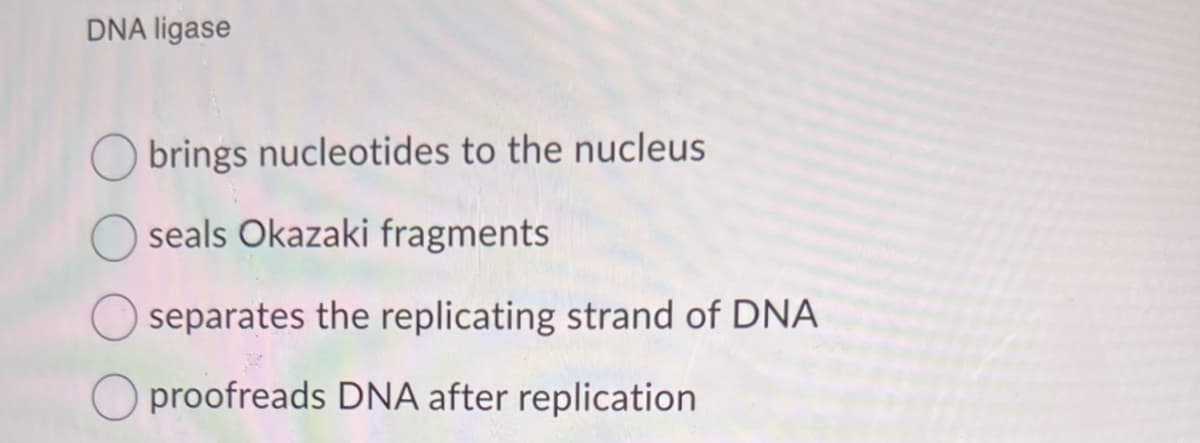 DNA ligase
brings nucleotides to the nucleus
seals Okazaki fragments
O separates the replicating strand of DNA
Oproofreads DNA after replication