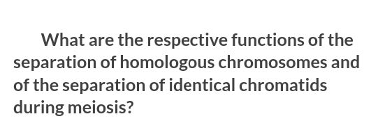 What are the respective functions of the
separation of homologous chromosomes and
of the separation of identical chromatids
during meiosis?
