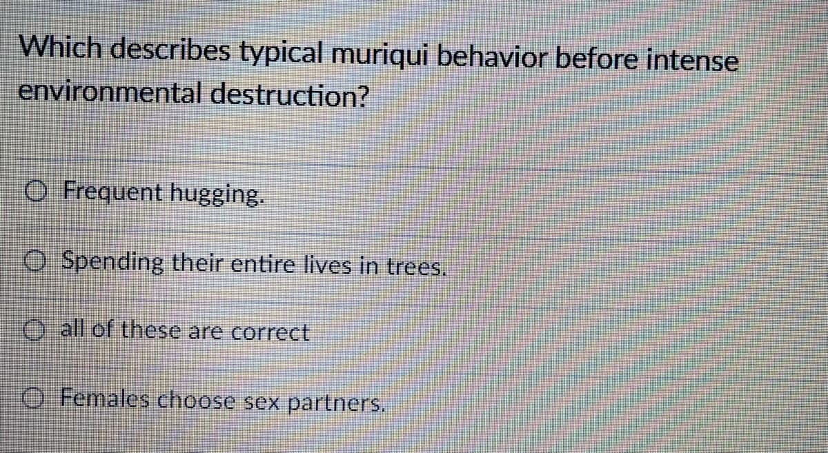 Which describes typical muriqui behavior before intense
environmental destruction?
O Frequent hugging.
O Spending their entire lives in trees.
O all of these are correct
O Females choose sex partners.
