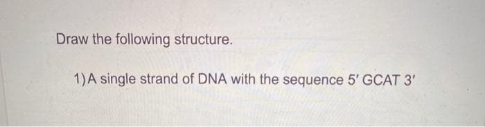 Draw the following structure.
1)A single strand of DNA with the sequence 5' GCAT 3'
