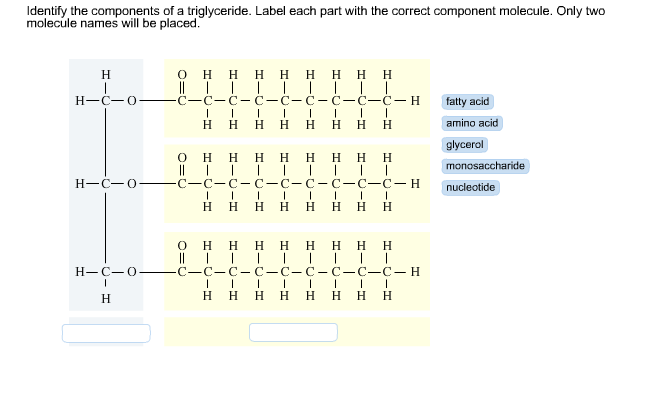 Identify the components of a triglyceride. Label each part with the correct component molecule. Only two
molecule names will be placed.
H
H-C-O-
H-C-O
H-C-O
H
OHHH H HHHH
|| | | | |
c-c-c-c-c-c-c-c-Ċ- H
HH
H
H HHHH
OHHHHHHHH
c-c-c-c-c-c-c-C-C-H
HHHH
H HHH
|| | | | |│
|| | | | |│
OHHHHHHHH
c-c-c-c-c-c-c-C-C-H
HHHHHHHH
fatty acid
amino acid
glycerol
monosaccharide
nucleotide