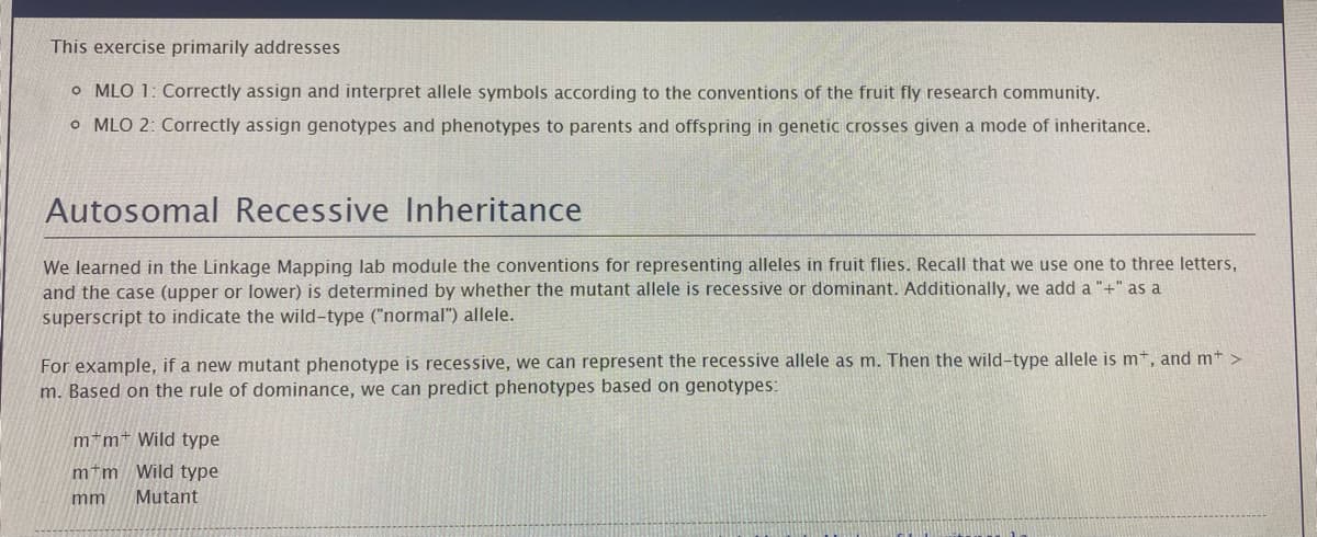 This exercise primarily addresses
o MLO 1: Correctly assign and interpret allele symbols according to the conventions of the fruit fly research community.
o
MLO 2: Correctly assign genotypes and phenotypes to parents and offspring in genetic crosses given a mode of inheritance.
Autosomal Recessive Inheritance
We learned in the Linkage Mapping lab module the conventions for representing alleles in fruit flies. Recall that we use one to three letters,
and the case (upper or lower) is determined by whether the mutant allele is recessive or dominant. Additionally, we add a "+" as a
superscript to indicate the wild-type ("normal") allele.
For example, if a new mutant phenotype is recessive, we can represent the recessive allele as m. Then the wild-type allele is mt, and m+ >
m. Based on the rule of dominance, we can predict phenotypes based on genotypes:
mm Wild type
Wild type
Mutant
m+m
mm