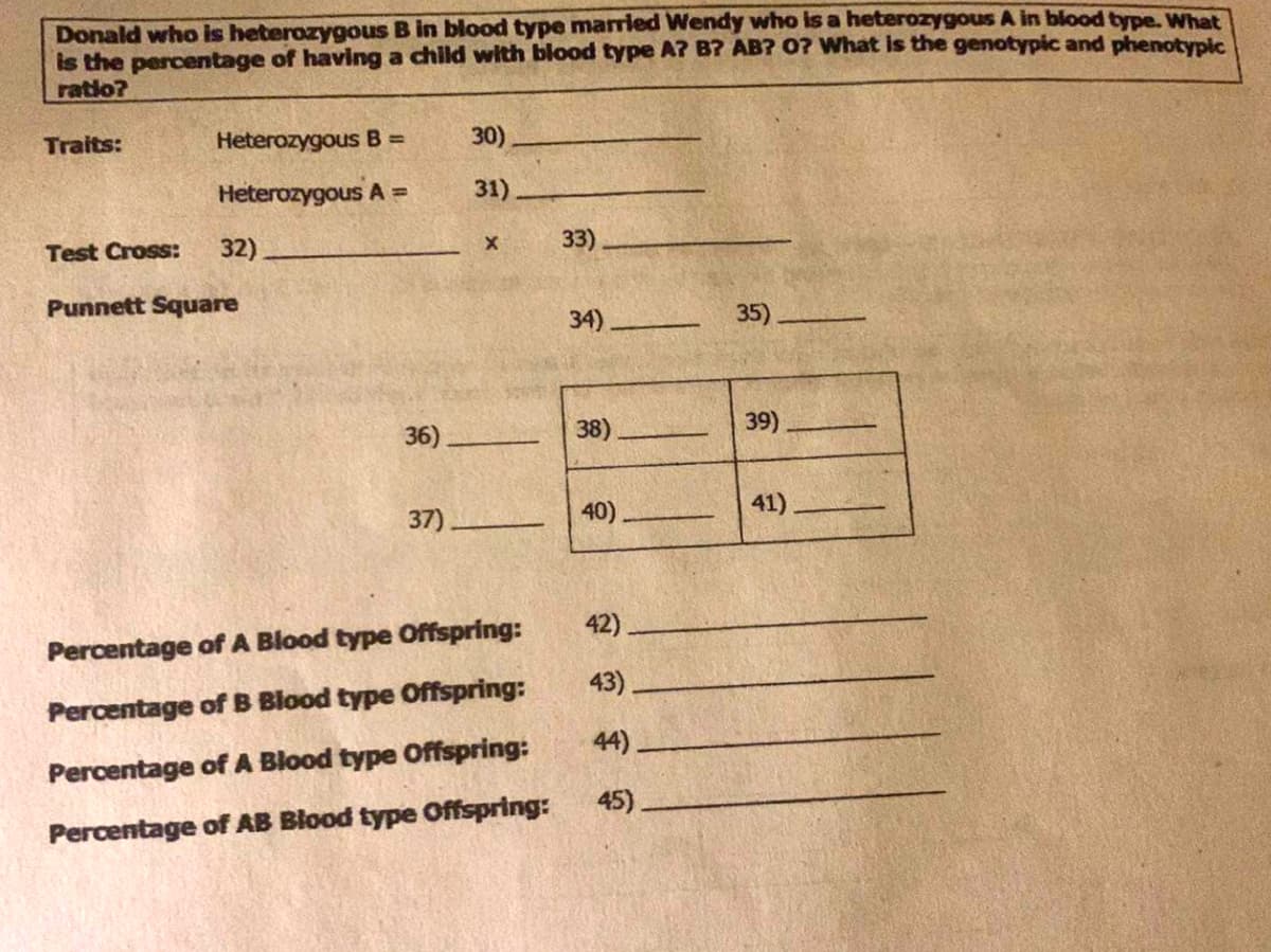 Donald who is heterozygous B in blood type married Wendy who is a heterozygous A in blood type. What
is the percentage of having a child with blood type A? B? AB? 0? What is the genotypic and phenotypic
ratio?
Traits:
Test Cross:
Heterozygous B =
Heterozygous A =
32)_
Punnett Square
36)
37).
30)
31)
X
Percentage of A Blood type Offspring:
Percentage of B Blood type Offspring:
Percentage of A Blood type Offspring:
Percentage of AB Blood type Offspring:
33)
34)
38)
40)
42)
43).
44)
45)
35).
39)
41)