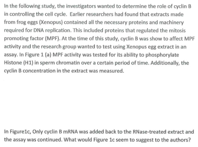 In the following study, the investigators wanted to determine the role of cyclin B
in controlling the cell cycle. Earlier researchers had found that extracts made
from frog eggs (Xenopus) contained all the necessary proteins and machinery
required for DNA replication. This included proteins that regulated the mitosis
promoting factor (MPF). At the time of this study, cyclin B was show to affect MPF
activity and the research group wanted to test using Xenopus egg extract in an
assay. In Figure 1 (a) MPF activity was tested for its ability to phosphorylate
Histone (H1) in sperm chromatin over a certain period of time. Additionally, the
cyclin B concentration in the extract was measured.
In Figure1c, Only cyclin B MRNA was added back to the RNase-treated extract and
the assay was continued. What would Figure 1c seem to suggest to the authors?
