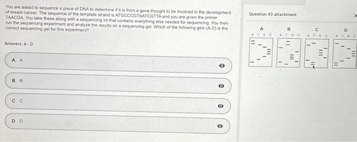 You are asked to sequence a piece of DNA to determine if it is from a gene thought to be involved in the development
of breast cancer. The sequence of the template strand is ATGCCCGTAATCGTTA and you are given the primer
TAACGA. You take these along with a sequencing kit that contains everything else needed for sequencing. You then
run the sequencing experiment and analyze the results on a sequencing gel. Which of the following gels (A-D) is the
correct sequencing gel for this experiment?
Answers: A-D
A A
BB
CC
DD
Question #3 attachment
A
ATOC
B
с
A TO C ATOC
ATOC