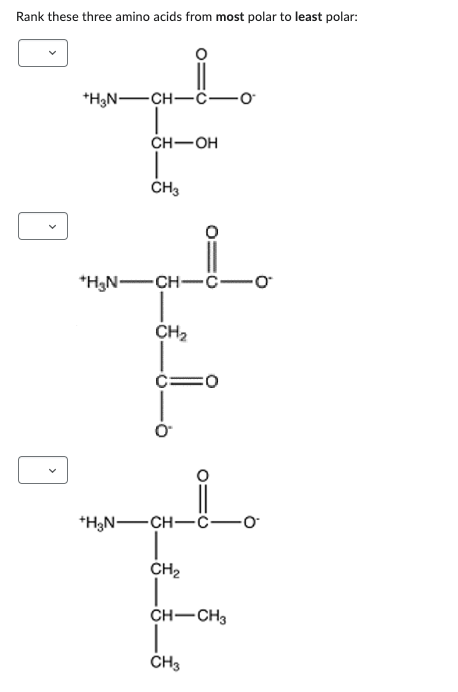 Rank these three amino acids from most polar to least polar:
+H3N-CH-C
CH-OH
CH3
*H₂N-CH-C-O
CH₂
O
+H₂N-CH-C-O
CH₂
=0
CH-CH3
CH3