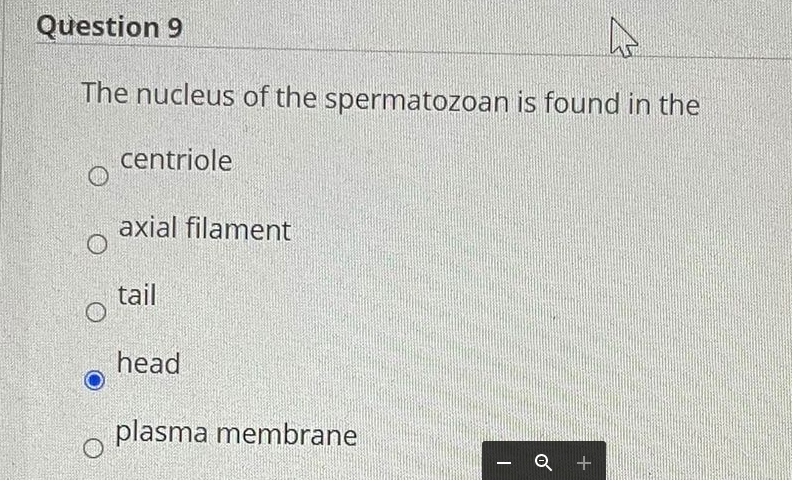 Question 9
The nucleus of the spermatozoan is found in the
centriole
axial filament
tail
head
plasma membrane
Q +
-
