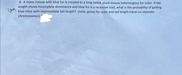 (ne)
8. A manx mouse with blue fur is crossed to a long-tailed, black mouse heterozygous for color. If tail
length shows incomplete dominance and blue fur is a recessive trait, what is the probability of getting
blue mice with intermediate tail length? (note: genes for color and tail length travel on separate
chromosomes)