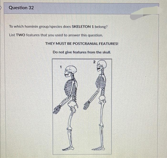 Question 32
To which hominin group/species does SKELETON 1 belong?
List TWO features that you used to answer this question.
THEY MUST BE POSTCRANIAL FEATURES!
Do not give features from the skull.
2