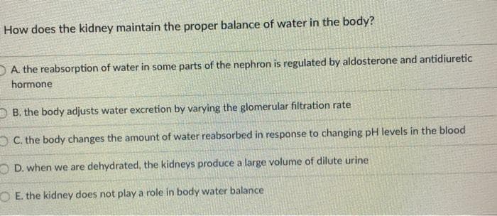 How does the kidney maintain the proper balance of water in the body?
D A. the reabsorption of water in some parts of the nephron is regulated by aldosterone and antidiuretic
hormone
D B. the body adjusts water excretion by varying the glomerular filtration rate
OC. the body changes the amount of water reabsorbed in response to changing pH levels in the blood
O D. when we are dehydrated, the kidneys produce a large volume of dilute urine
O E. the kidney does not play a role in body water balance
