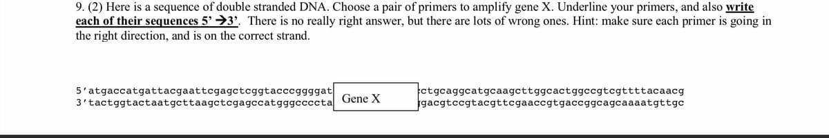 9. (2) Here is a sequence of double stranded DNA. Choose a pair of primers to amplify gene X. Underline your primers, and also write
each of their sequences 5' →3'. There is no really right answer, but there are lots of wrong ones. Hint: make sure each primer is going in
the right direction, and is on the correct strand.
5'atgaccatgattacgaattcgagctcggtacccggggat
3'tactggtactaatgcttaagctcgagccatgggccccta
ctgcaggcatgcaagcttggcactggccgtcgttttacaacg
gacgtccgtacgttcgaaccgtgaccggcagcaaaatgttgc
Gene X
