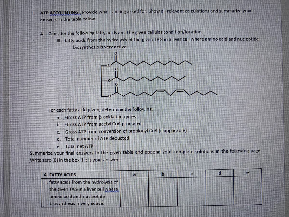 1.
ATP ACCOUNTING, Provide what is being asked for. Show all relevant calculations and summarize your
answers in the table below.
A. Consider the following fatty acids and the given cellular condition/location.
iii. Fatty acids from the hydrolysis of the given TAG in a liver cell where amino acid and nucleotide
biosynthesis is very active.
For each fatty acid given, determine the following.
a. Gross ATP from B-oxidation cycles
b.
Gross ATP from acetyl CoA produced
C
Gross ATP from conversion of propionyl CoA (if applicable)
d. Total number of ATP deducted
e.
Total net ATP
Summarize your final answers in the given table and append your complete solutions in the following page.
Write zero (0) in the box if it is your answer.
A. FATTY ACIDS
a
b
C
d
e
iii. fatty acids from the hydrolysis of
the given TAG in a liver cell where
amino acid and nucleotide
biosynthesis is very active.