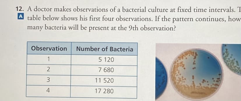 12. A doctor makes observations of a bacterial culture at fixed time intervals. T
A table below shows his first four observations. If the pattern continues, how
many bacteria will be present at the 9th observation?
Observation
Number of Bacteria
1
5 120
7 680
11 520
4
17 280
