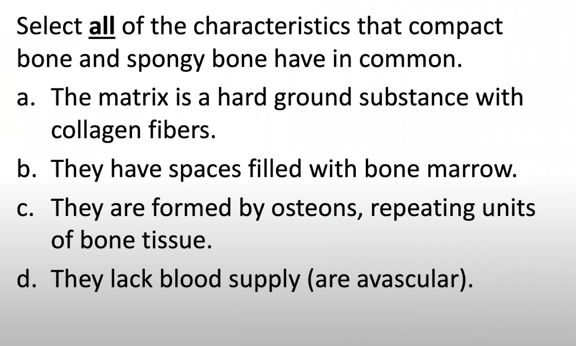 Select all of the characteristics that compact
bone and spongy bone have in common.
a. The matrix is a hard ground substance with
collagen fibers.
b. They have spaces filled with bone marrow.
c. They are formed by osteons, repeating units
of bone tissue.
d. They lack blood supply (are avascular).