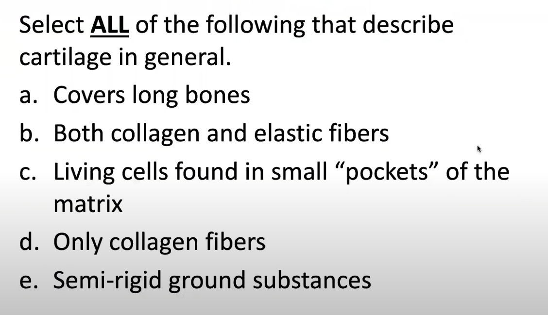 Select ALL of the following that describe
cartilage in general.
a. Covers long bones
b. Both collagen and elastic fibers
c. Living cells found in small "pockets" of the
matrix
d. Only collagen fibers
e. Semi-rigid ground substances