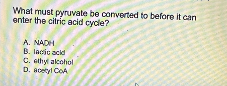 What must pyruvate be converted to before it can
enter the citric acid cycle?
A. NADH
B. lactic acid
C. ethyl alcohol
D. acetyl COA