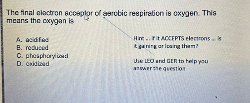 The final electron acceptor of aerobic respiration is oxygen. This
means the oxygen is
A. acidified
B. reduced
C. phosphorylized
D. oxidized
Hint... if it ACCEPTS electrons... is
it gaining or losing them?
Use LEO and GER to help you
answer the question
