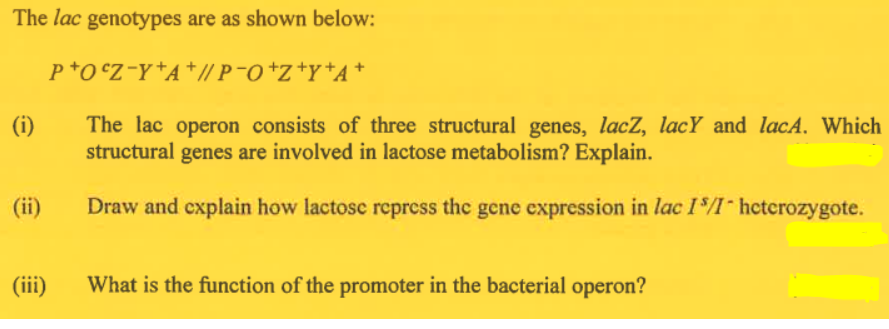 The lac genotypes are as shown below:
P+OcZ-Y+A+// P¯O+Z+Y+A+
(i)
The lac operon consists of three structural genes, lacZ, lacY and lacA. Which
structural genes are involved in lactose metabolism? Explain.
(ii)
Draw and explain how lactose repress the gene expression in lac IS/I- heterozygote.
(iii)
What is the function of the promoter in the bacterial operon?