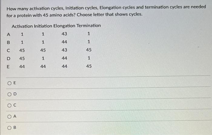 How many activation cycles, Initiation cycles, Elongation cycles and termination cycles are needed
for a protein with 45 amino acids? Choose letter that shows cycles.
Activation Initiation Elongation Termination
A
1
1
43
1
44
1
C
45
45
43
45
D
45
1
44
1
44
44
44
45
O E
OD
O A
O B
